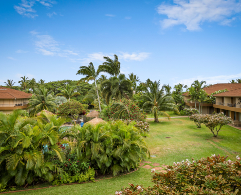 Maui Kaanapali VIllas - lawn area with grass and palm trees
