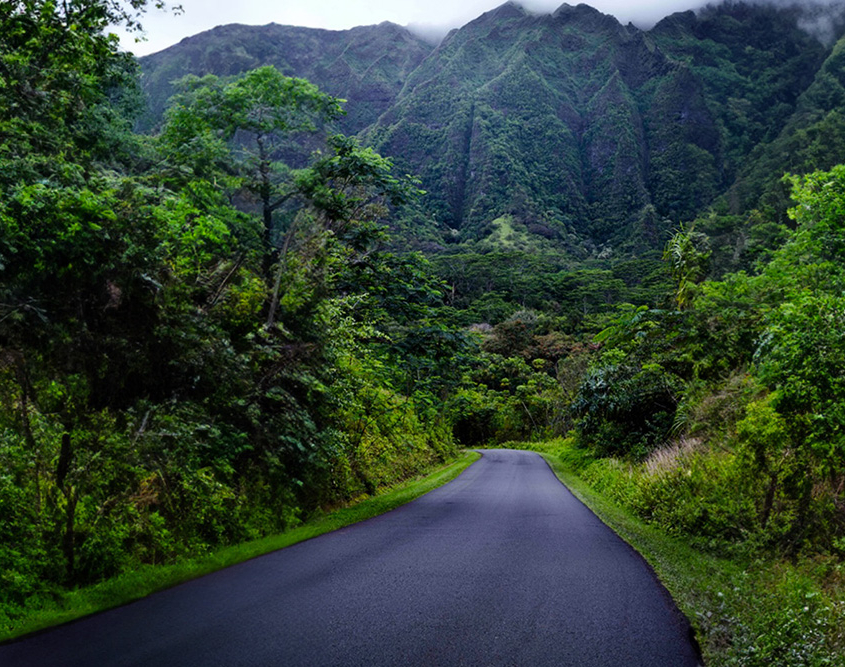 Kamaaina-ILI-offers-1000x667-1