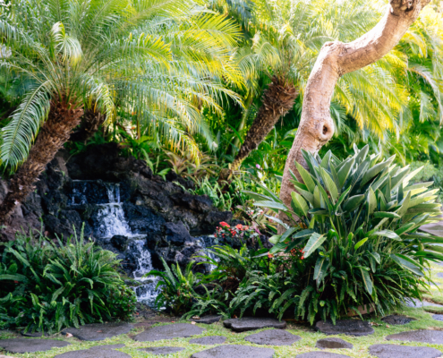 Maui-Kanaapali_Interior-Exterior_rock waterfall with palm trees and foliage JS_300 (4 of 15)