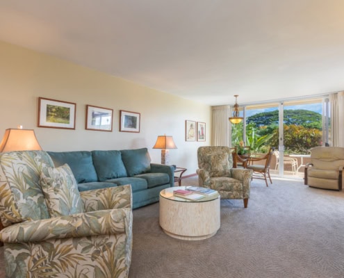 One BR GV Premium - Living opt