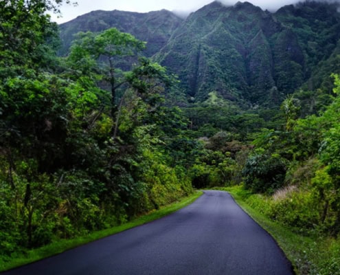 Kamaaina-offers-767x520